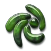 Zen Cart Hosting Zen Cart Hosting
