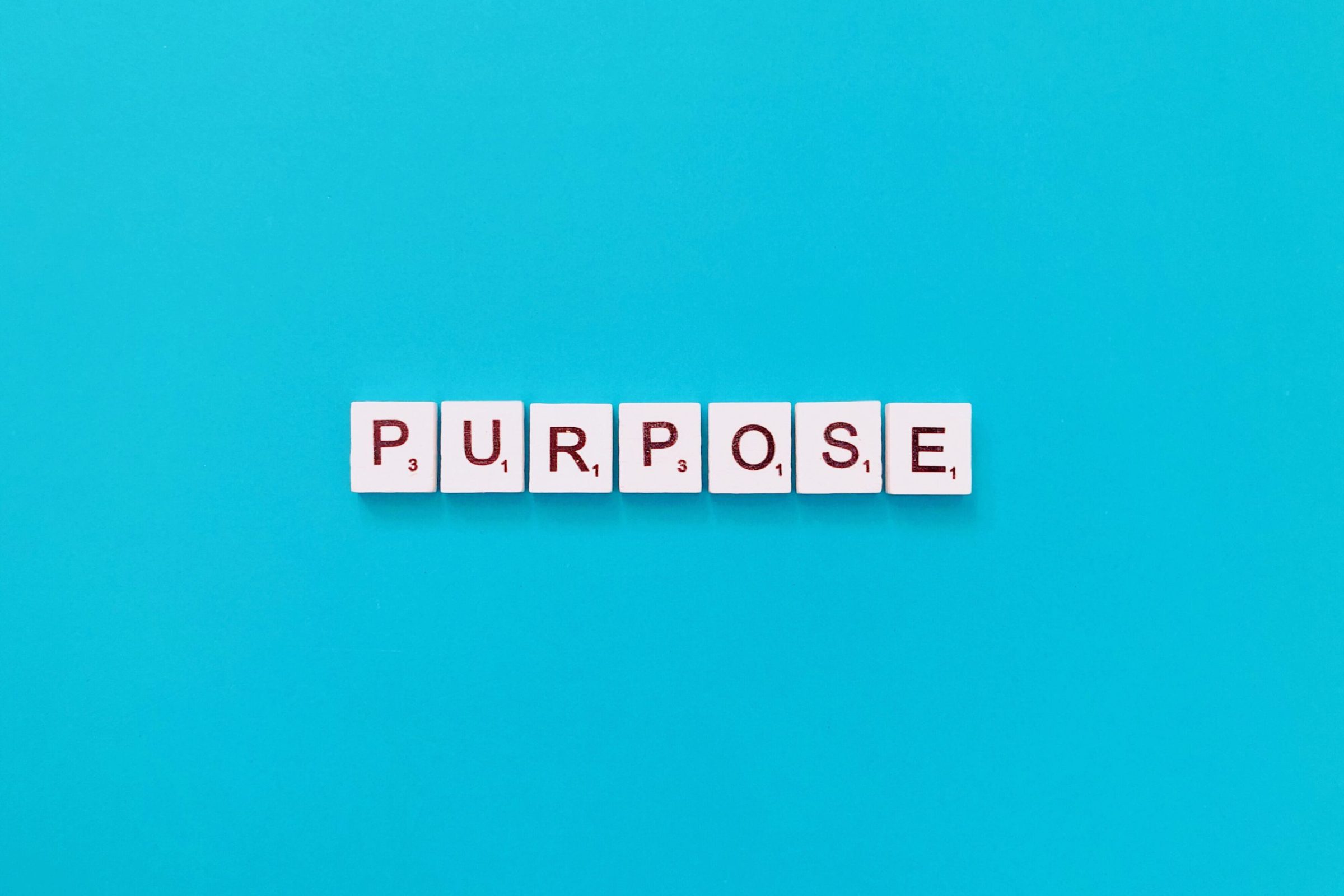 purpose-2022-11-12-01-11-17-utc